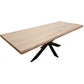 Baumstammtisch - 4 cm - Spinnenbein schmal 10x3 